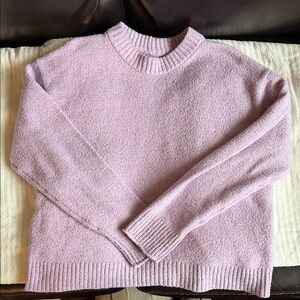 American Eagle Outfitters Lavender Crew Neck Sweater